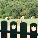 Panzió Palos 4*