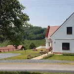 Palos Zalacsány