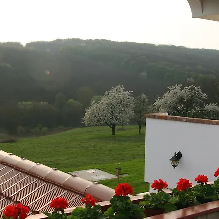 Bed & Breakfast Palos Zalacsany