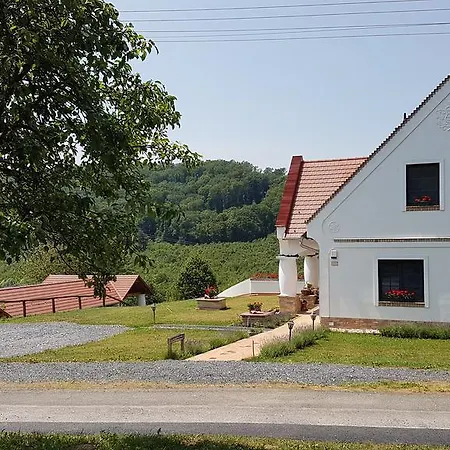 Palos Zalacsány