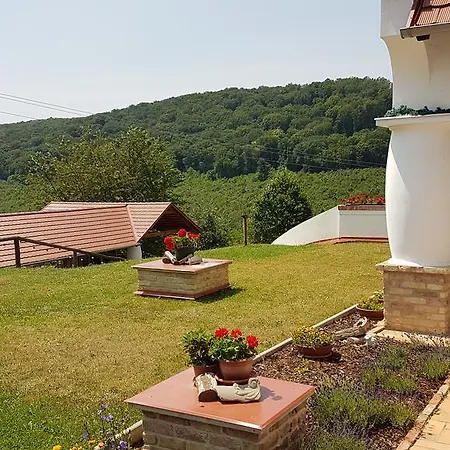 Palos 4*