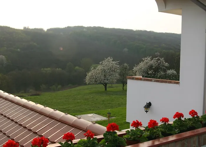 B&B Palos Zalacsány