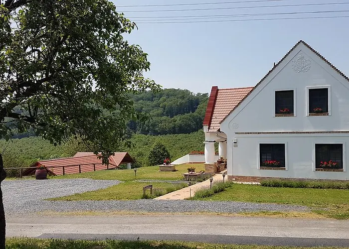 Palos Zalacsány