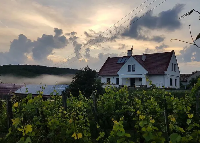 B&B Palos
